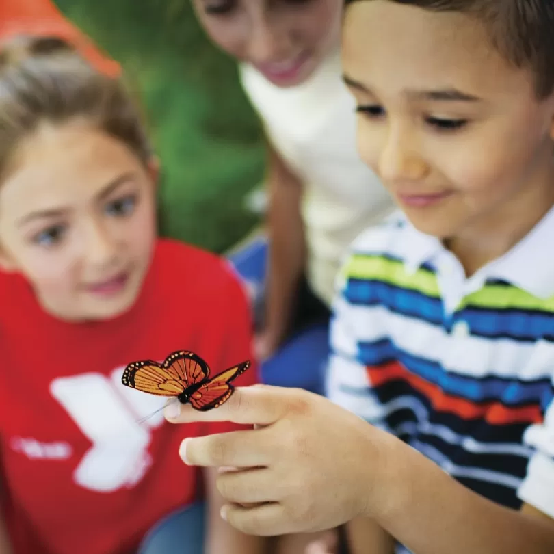 YMCA camper playing with butterfly