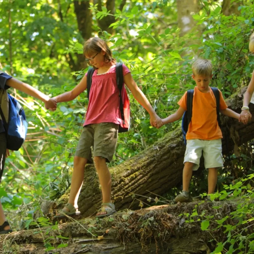 Kids hiking in the woods