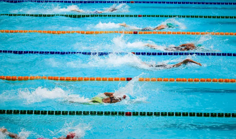 people swimming in a pool